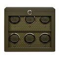 Earth 6 Piece Watch Winder