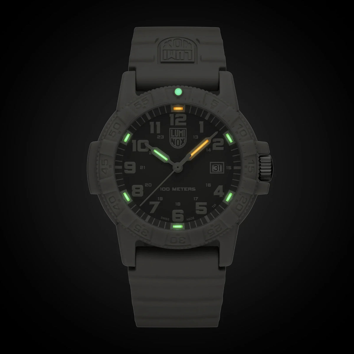 Leatherback SEA Turtle XS.0326 Luminox
